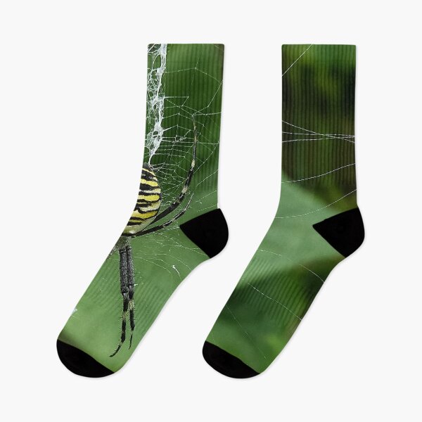 Item preview, Striped Yellow-Black Wasp Spider  - Cute Spiders Gifts designed and sold by r-silver.