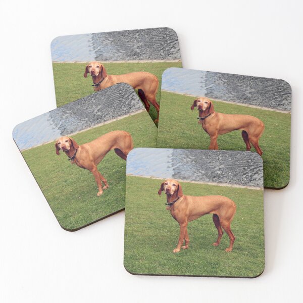 Item preview, Dog In The Park designed and sold by XCEEDTRANSITION.