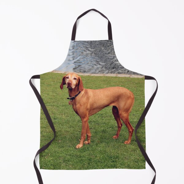 Item preview, Dog In The Park designed and sold by XCEEDTRANSITION.