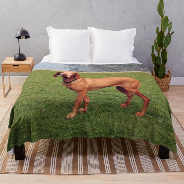Item preview, Dog In The Park designed and sold by XCEEDTRANSITION.
