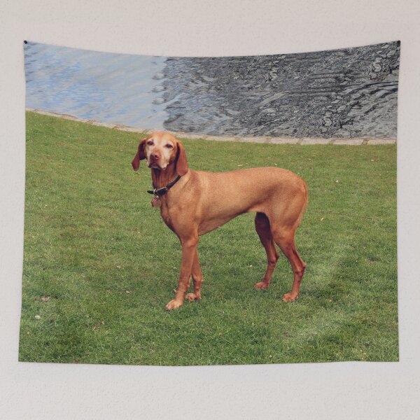Item preview, Dog In The Park designed and sold by XCEEDTRANSITION.