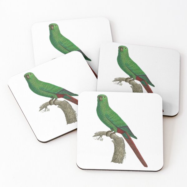 Item preview, Austral parakeet designed and sold by Photopicture.