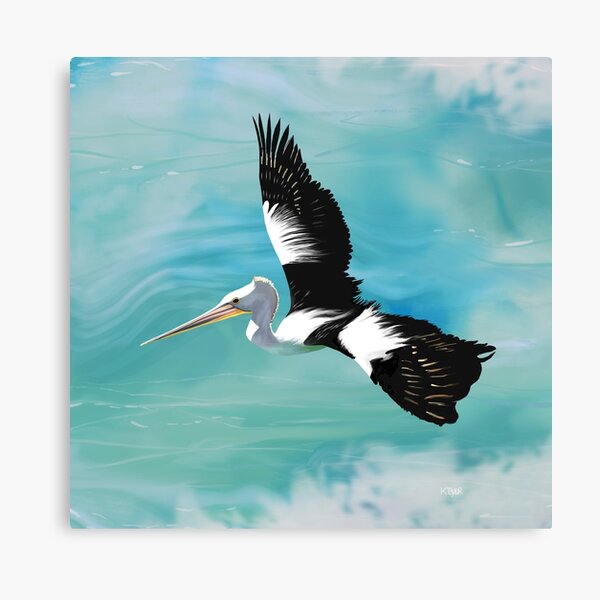Pelican Crossing Canvas Print