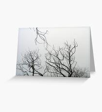 Winter Greeting Card