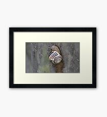 Spring 2013 Collection 19 Framed Print