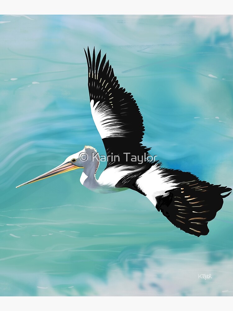 Pelican Crossing by karin