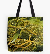 LAND OF THE BIRDNOSE WRASSE Tote Bag