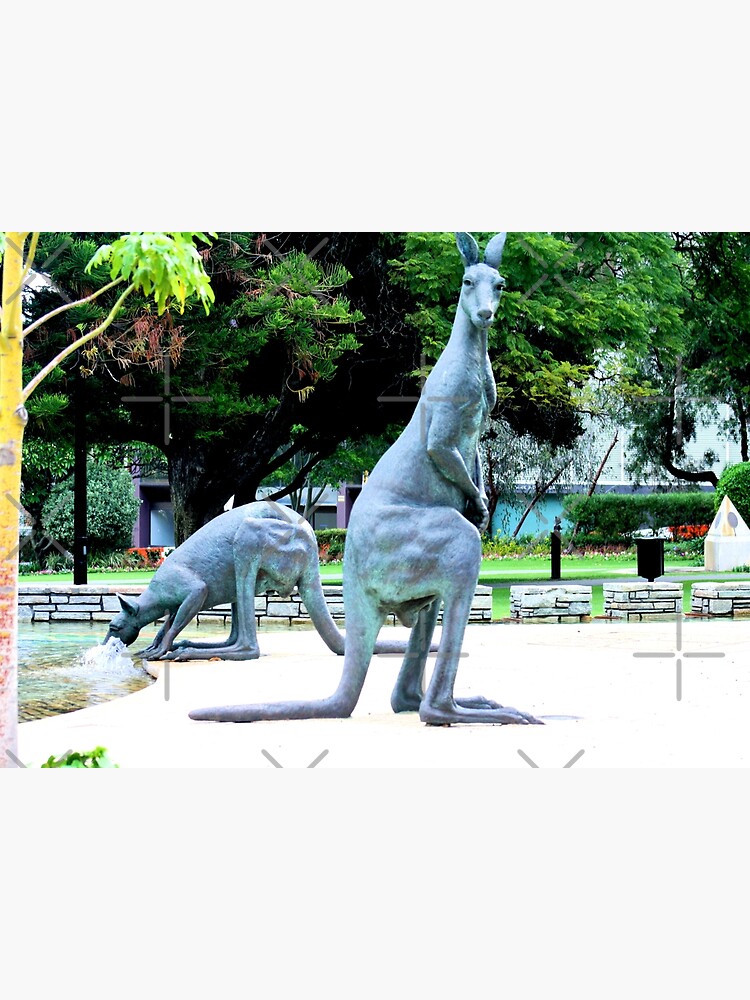 "Two Bronze Kangaroo statues Perth Australia" Poster for Sale by TeAnne