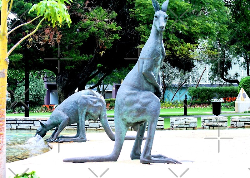 "Bronze Kangaroo statues Perth Australia" by TeAnne Redbubble