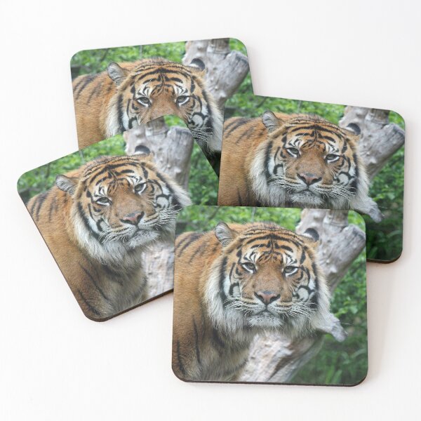 Item preview, Eye Contact designed and sold by LeanneAllen.