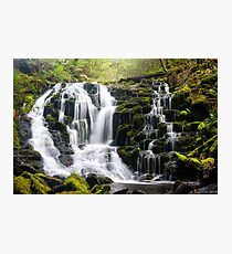 Olivia Creek Cascades Photographic Print