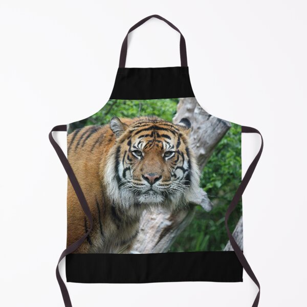 Item preview, Eye Contact designed and sold by LeanneAllen.