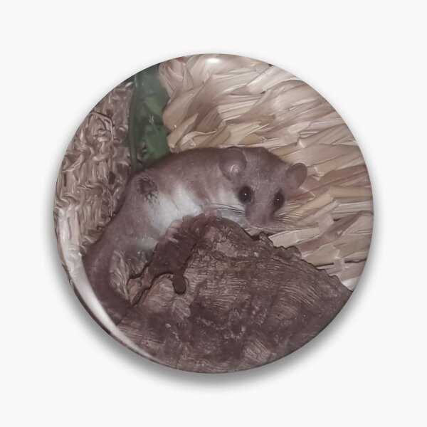 Item preview, African pygmy dormouse designed and sold by Colettes8Legs.