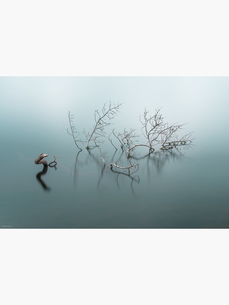 The Serpent of Derwent by MaliPhotography