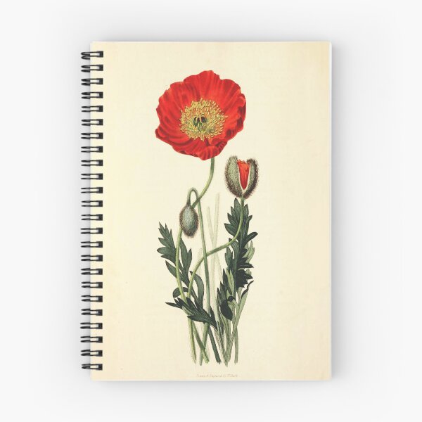 Item preview, Vintage Botanical - scarlet naked-stalked poppy designed and sold by DejaVuStudio.