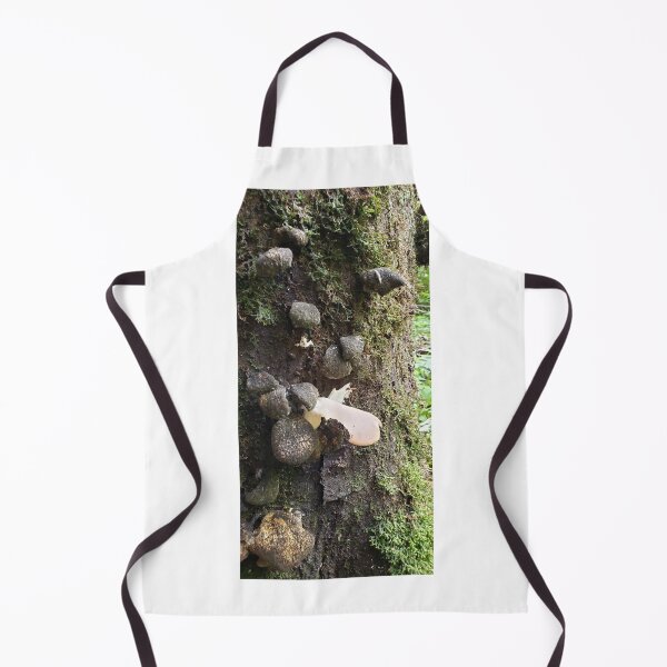 Item preview, How are there so few designed and sold by Toadn2princess.