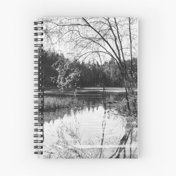 Item preview, Hietaslammi enlarged in bw designed and sold by Jouko Lehto Photography.