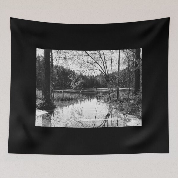 Item preview, Hietaslammi enlarged in bw designed and sold by Jouko Lehto Photography.