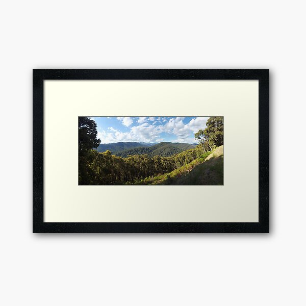 Framed Print