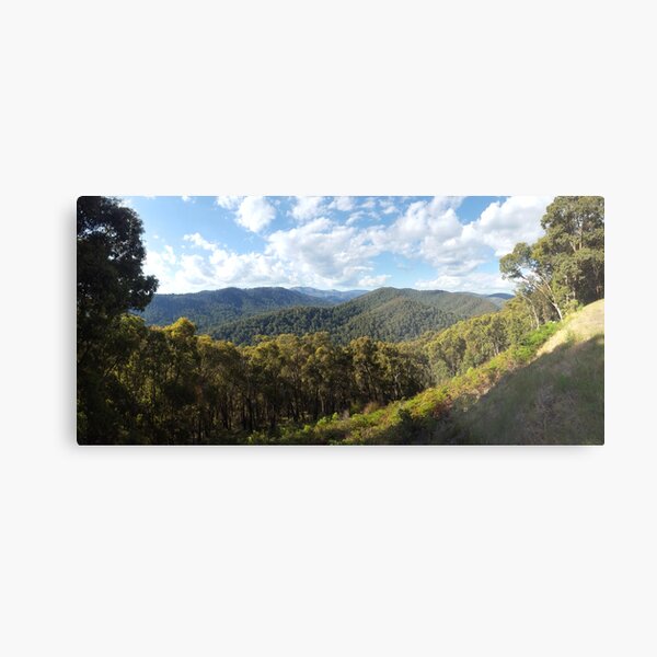 Metal Print