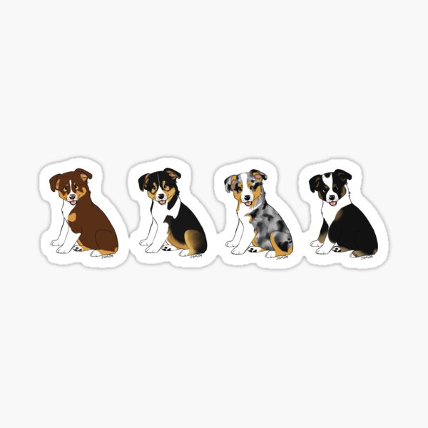 Australian shepherd Sticker