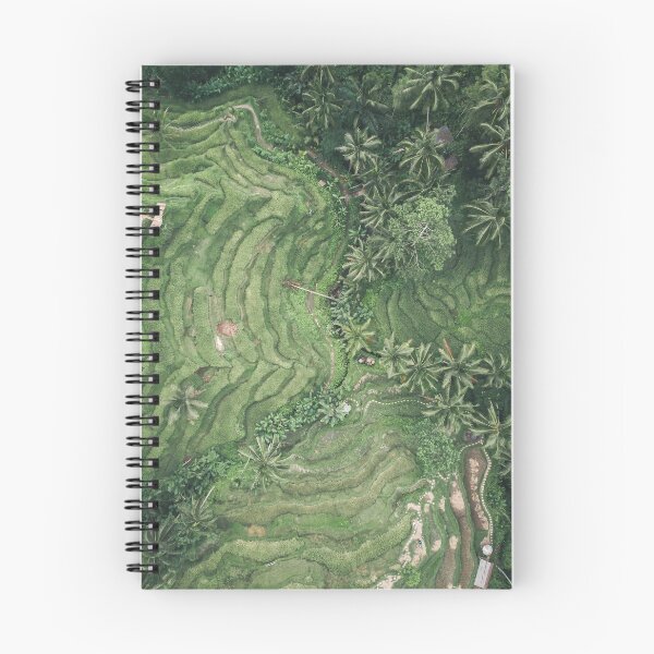 Item preview, Rice Terrace designed and sold by Phil Studios.