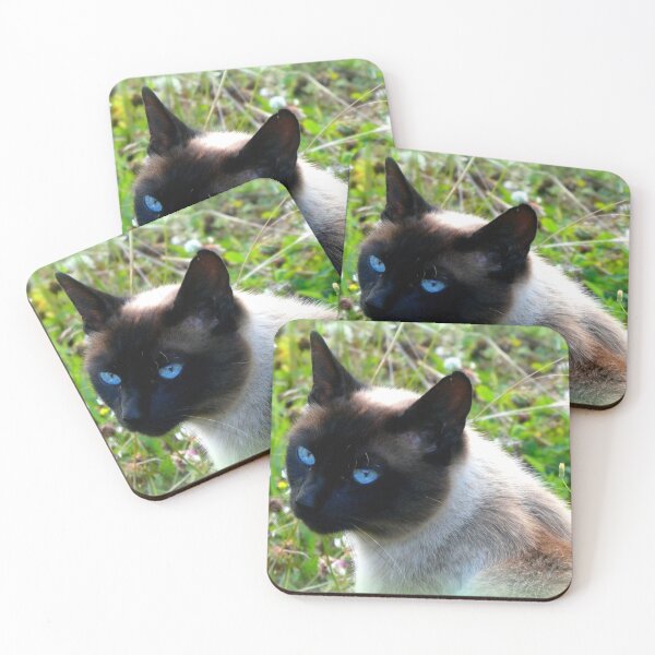 Item preview, Chocolate Burmese Cat designed and sold by angel1.