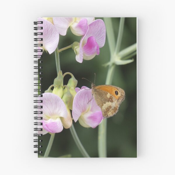 Aperçu de l'œuvre Papillon sur un petit pois créée et vendue par C Rose.