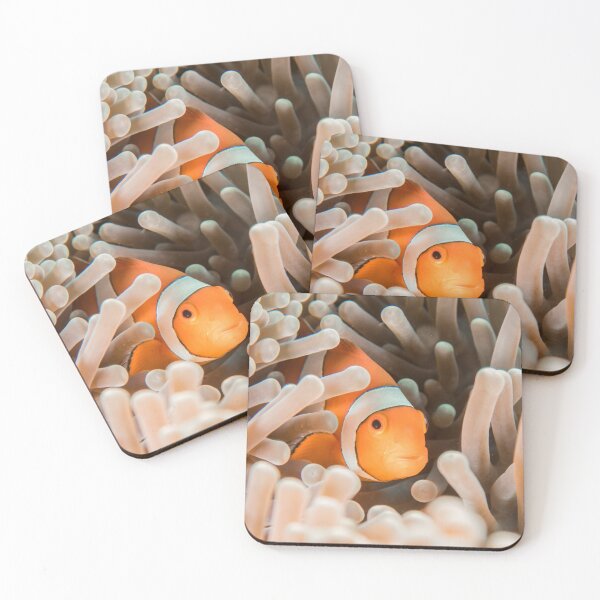 Item preview, Clown Fish designed and sold by madtoyman.