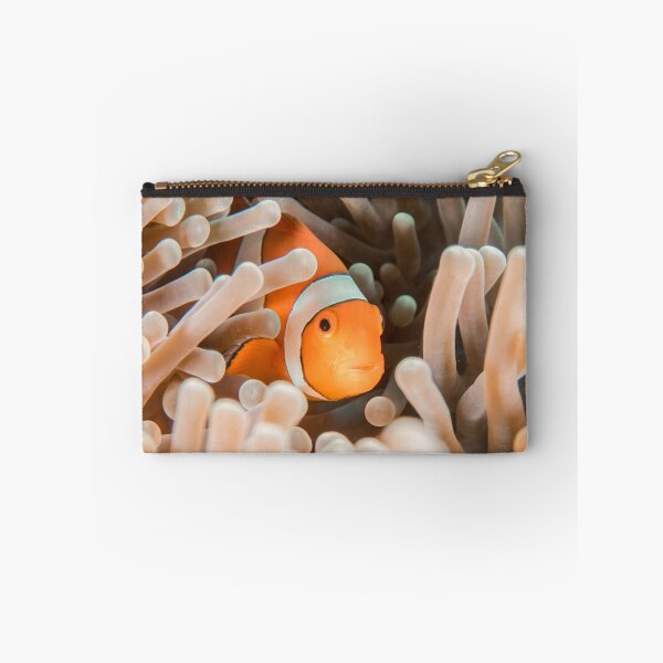 Item preview, Clown Fish designed and sold by madtoyman.