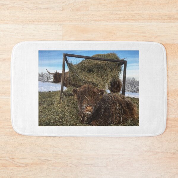 Item preview, Scottish Highland Cattle Calf 1894 designed and sold by SaarelaHighland.