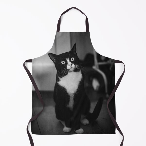 Item preview, curios cat designed and sold by william672.