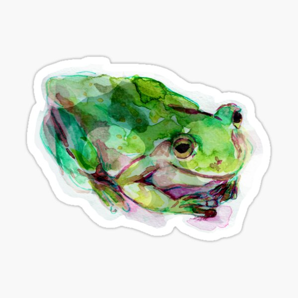 White's Tree Frog Sticker – Amphisbaena Exotics