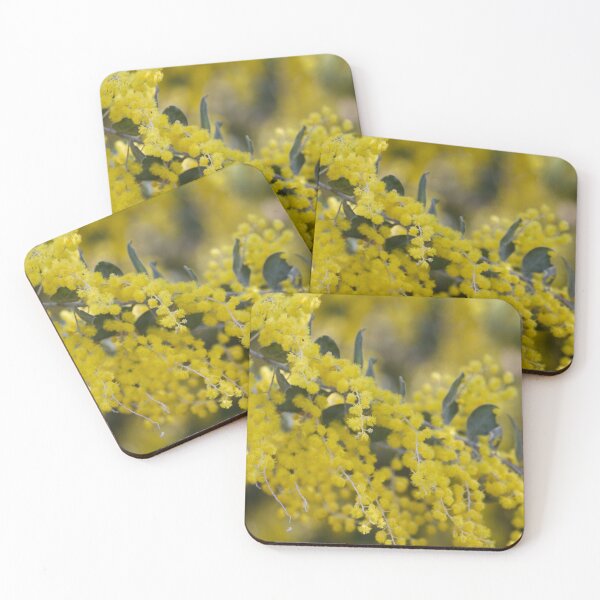 Item preview, Queensland Silver Wattle designed and sold by MargsNaturePix.