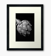 Study of an Artichoke - Three Framed Print