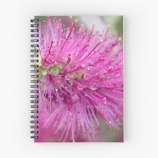 Item preview, Callistemon with Dewdrops designed and sold by Linda Lees.