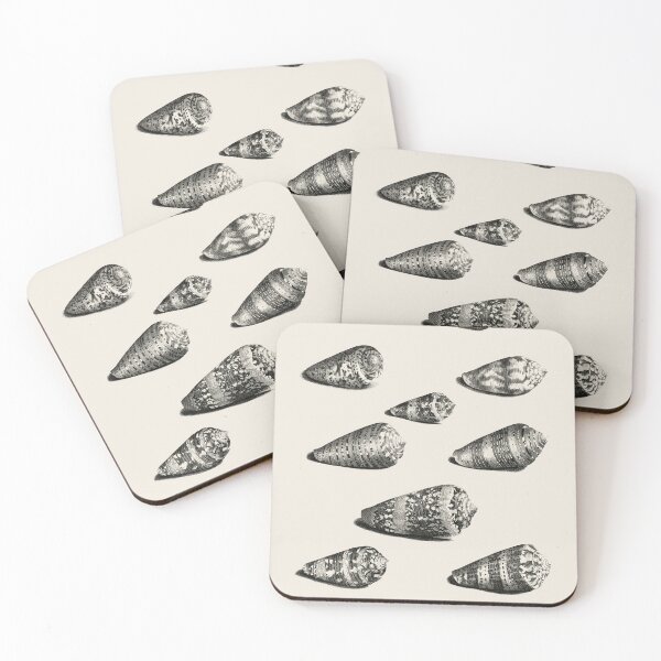 Item preview, Twelve shells of various snail species designed and sold by Flamin' Galah.