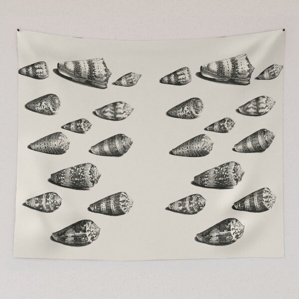 Item preview, Twelve shells of various snail species designed and sold by Flamin' Galah.