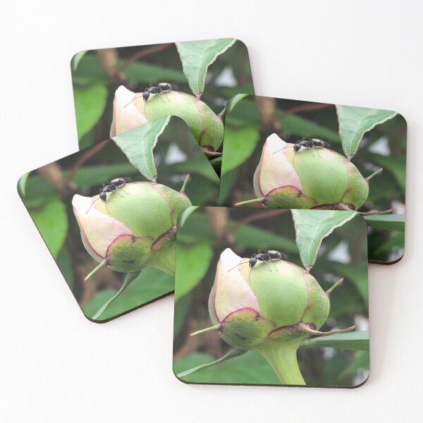 Item preview, Ant on a Flower Bud designed and sold by Artsyphotos8.