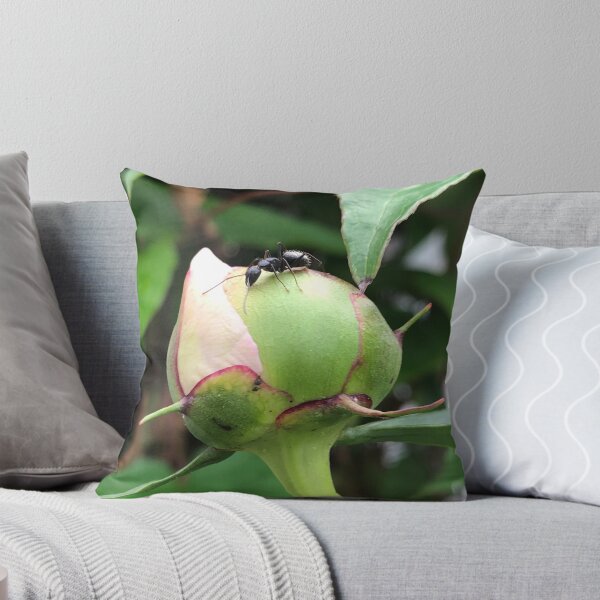 Item preview, Ant on a Flower Bud designed and sold by Artsyphotos8.