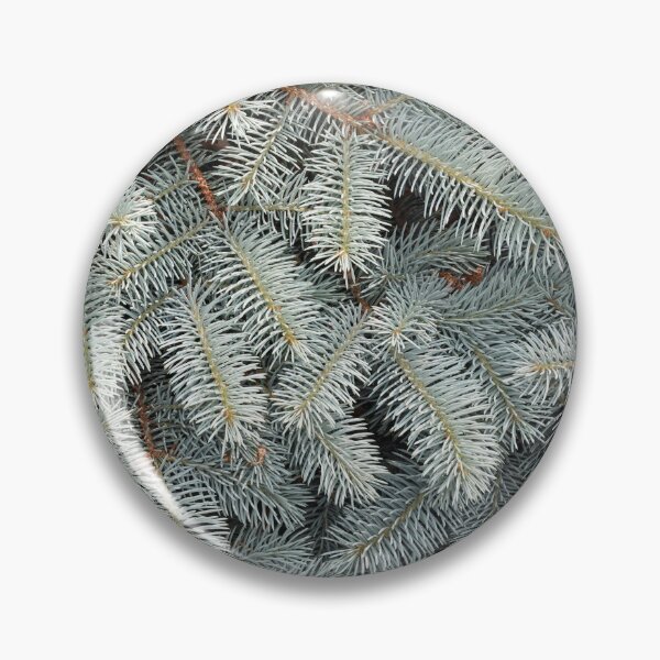 Item preview, Close Up of Blue Spruce designed and sold by Susie Kramer.