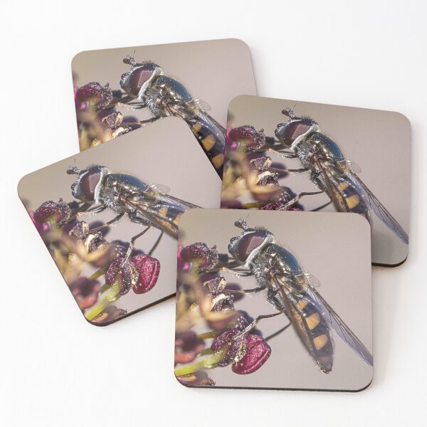 Item preview, A native bee in Australia designed and sold by shaynetwright.