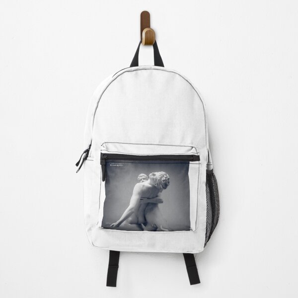 A Frozen Rescue Backpack