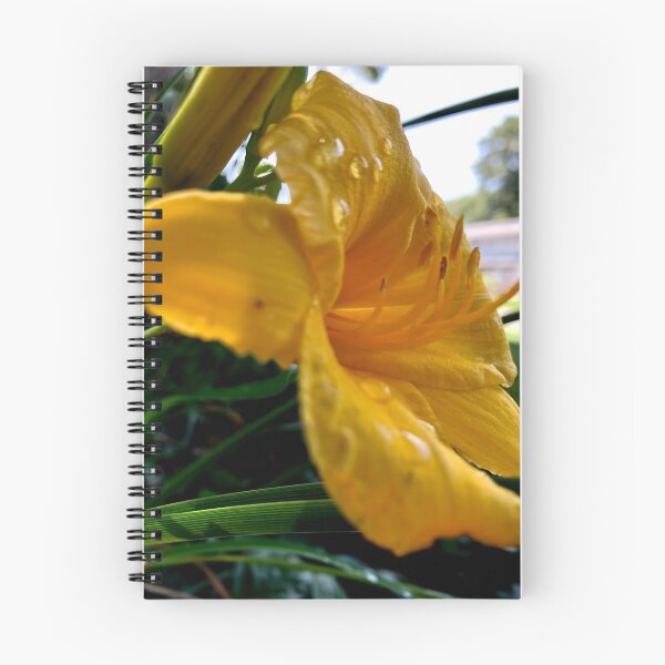 Artikelvorschau, Gelbe Blume entworfen und verkauft von Artsyphotos8.