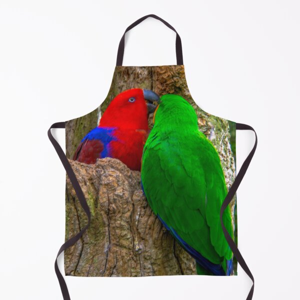 Item preview, Eclectus Parrots designed and sold by Steven Jodoin.