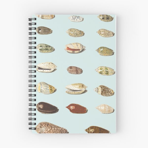 Item preview, Twenty tropical shells designed and sold by Flamin' Galah.