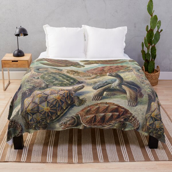 Item preview, Antique turtle scene designed and sold by Flamin' Galah.