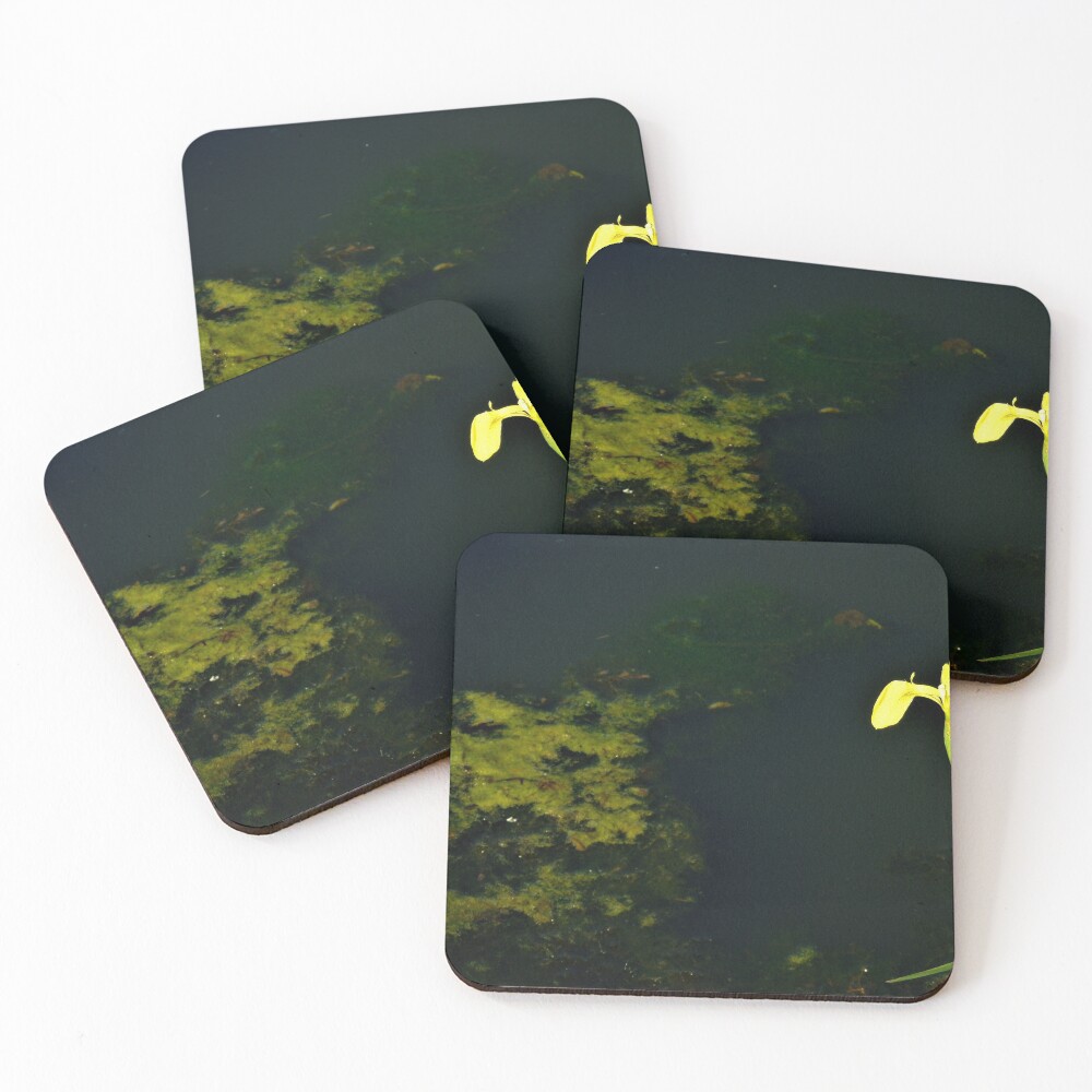 Item preview, Coasters (Set of 4) designed and sold by ART22.