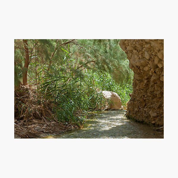 Item preview, Wadi Boqeq - An Oasis In The Desert. designed and sold by Michael Redbourn.