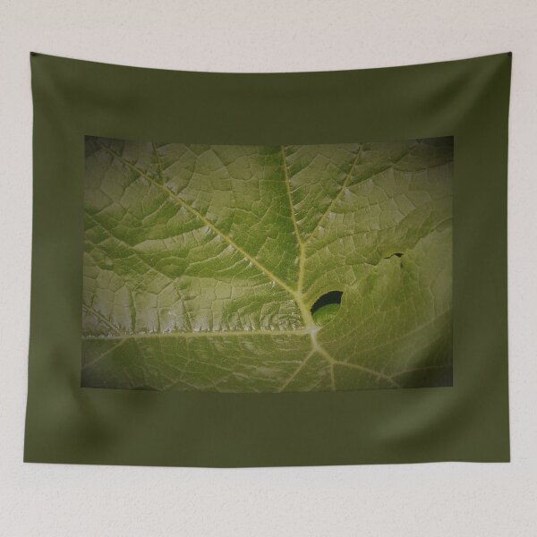Item preview, Squash Leaf designed and sold by stephenralph.